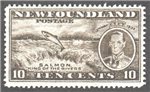 Newfoundland Scott 237 Mint VF (P13.7)